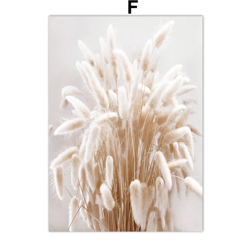 Poster Pampasgras Beige Spiegel  I Wandbilder Wohnzimmer & Schlafzimmer I  Deko Print Bilder I ohne Rahmen