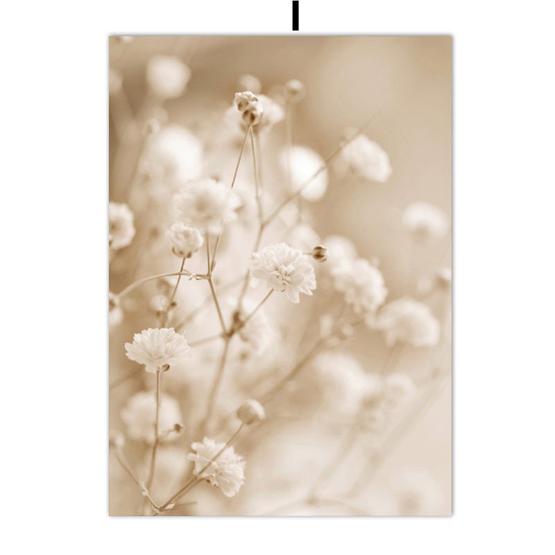Poster Pampasgras Beige Spiegel  I Wandbilder Wohnzimmer & Schlafzimmer I  Deko Print Bilder I ohne Rahmen