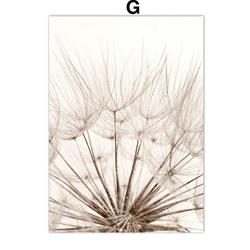 Poster Pampasgras Beige Spiegel  I Wandbilder Wohnzimmer & Schlafzimmer I  Deko Print Bilder I ohne Rahmen